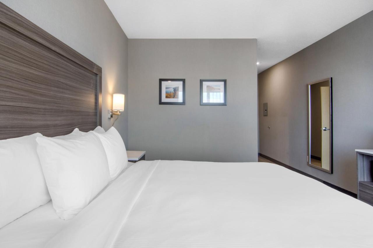 Comfort Inn & Suites Север Батлфорд Экстерьер фото